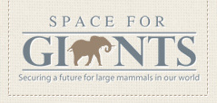 Space For Giants
